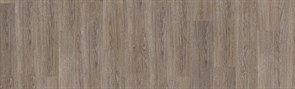 LOUNGE - CHARANGO 1809